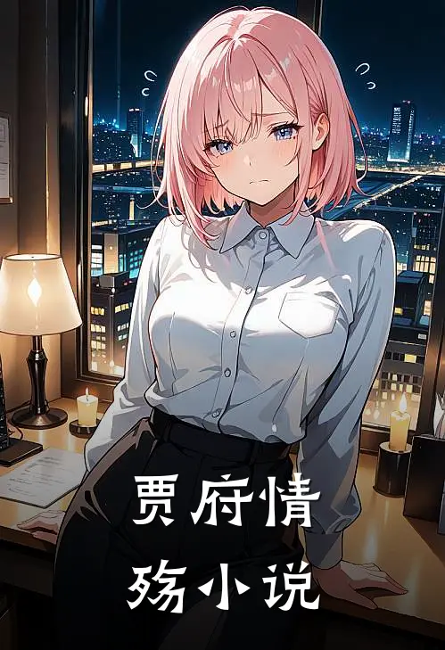 贾府情殇小说