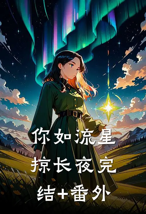 你如流星掠长夜完结+番外
