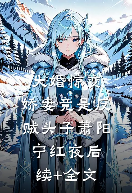 大婚惊变：娇妻竟是反贼头子萧阳宁红夜后续+全文