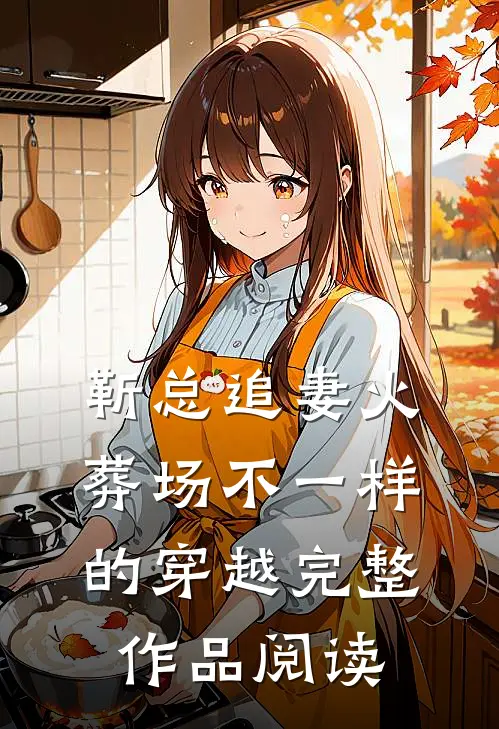 靳总追妻火葬场不一样的穿越完整作品阅读