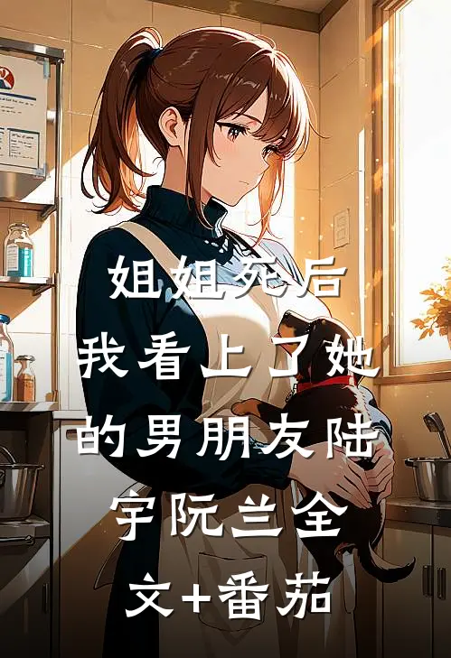 姐姐死后，我看上了她的男朋友陆宇阮兰全文+番茄