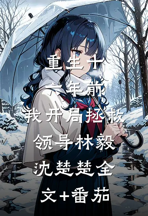 重生十六年前，我开局拯救领导林毅沈楚楚全文+番茄