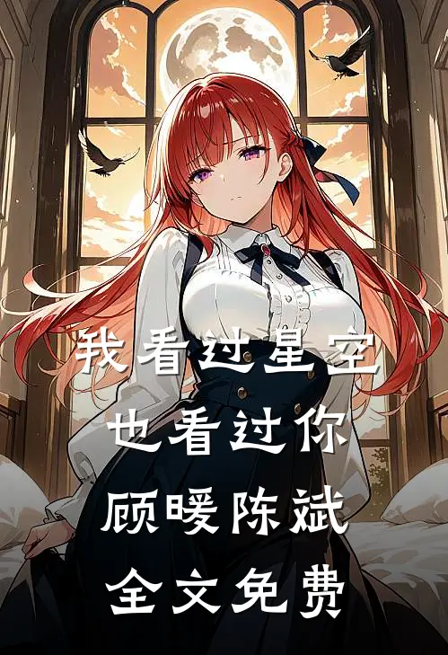 我看过星空，也看过你顾暖陈斌全文免费