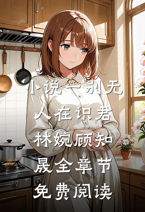 小说一别无人在识君林婉顾知晟全章节免费阅读
