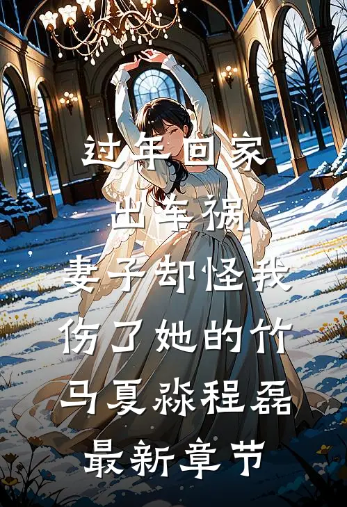 过年回家出车祸，妻子却怪我伤了她的竹马夏淼程磊最新章节