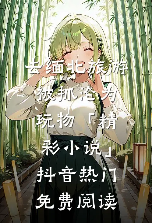 去缅北旅游被抓沦为玩物「精彩小说」抖音热门免费阅读