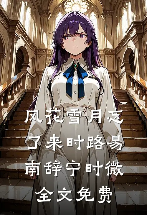 风花雪月忘了来时路易南辞宁时微全文免费