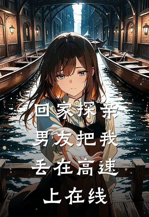 回家探亲，男友把我丢在高速上在线