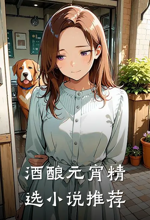 酒酿元宵精选小说推荐