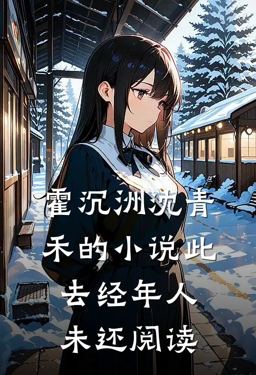 霍沉洲沈青禾的小说此去经年人未还阅读