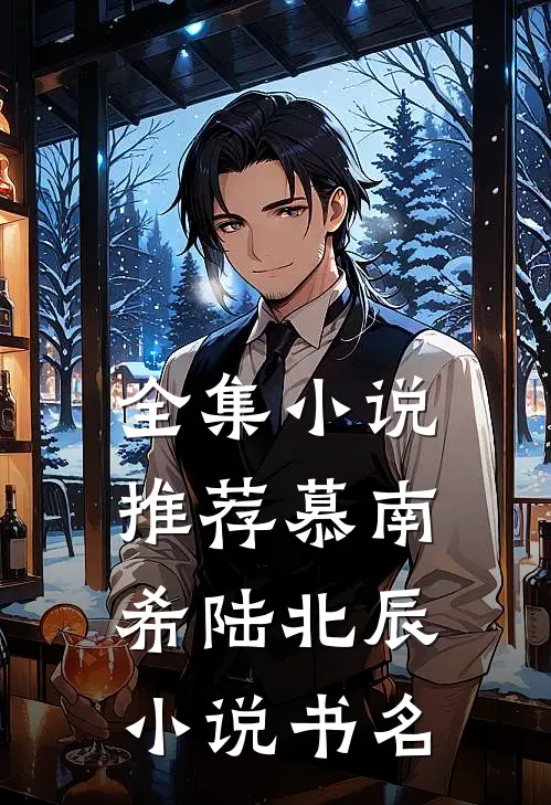 全集小说推荐慕南希陆北辰小说书名