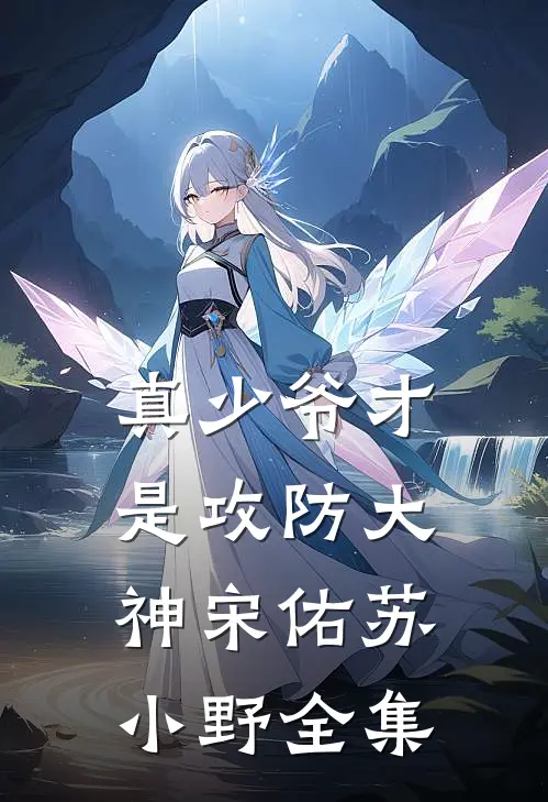 真少爷才是攻防大神宋佑苏小野 全集