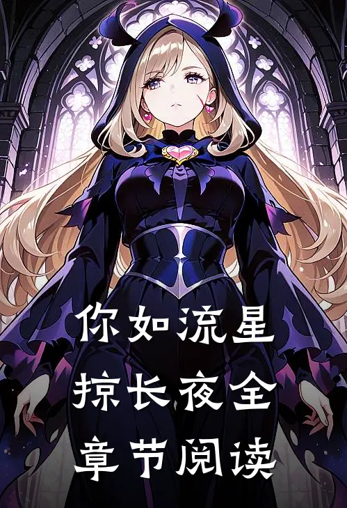 你如流星掠长夜全章节阅读