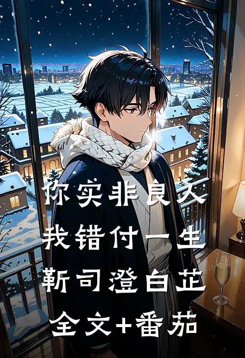 你实非良人，我错付一生靳司澄白芷全文+番茄