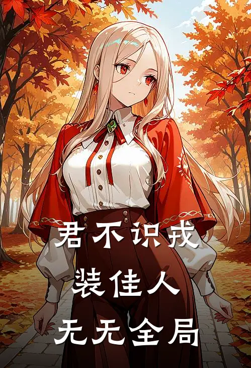 君不识戎装佳人： 无无全局