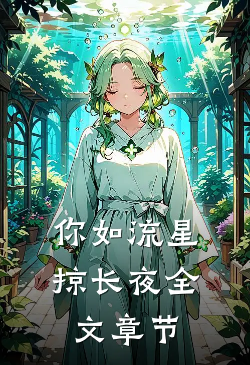 你如流星掠长夜全文章节