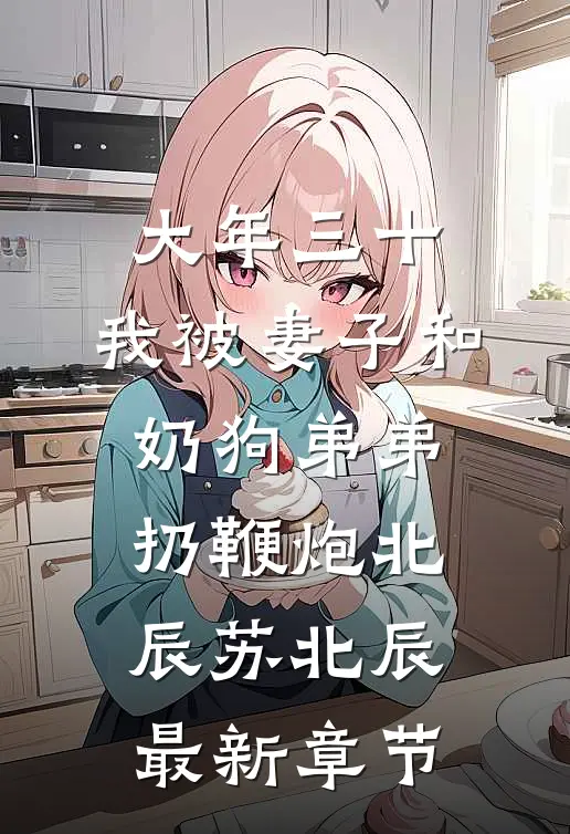 大年三十，我被妻子和奶狗弟弟扔鞭炮北辰苏北辰最新章节