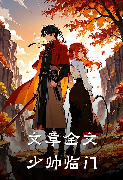 文章全文少帅临门