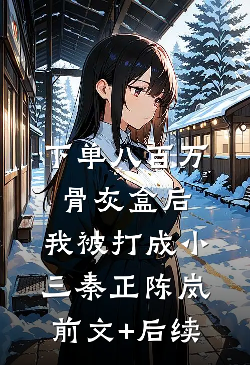 下单八百万骨灰盒后，我被打成小三秦正陈岚前文+后续