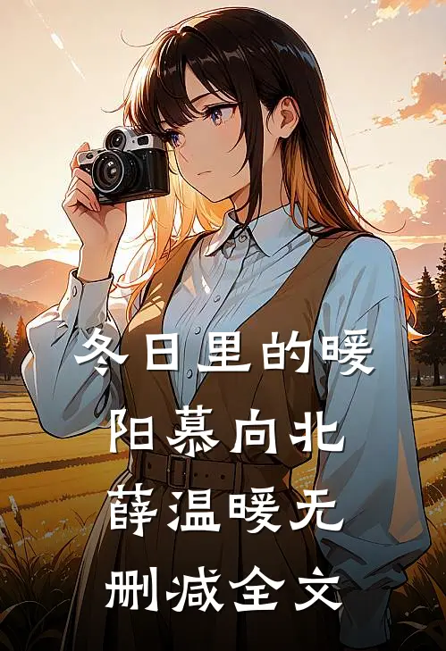 冬日里的暖阳慕向北薛温暖无删减全文