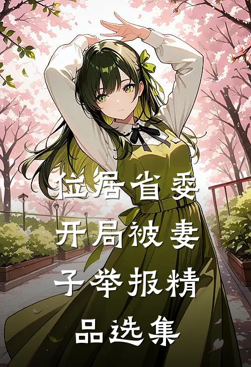 位居省委，开局被妻子举报精品选集