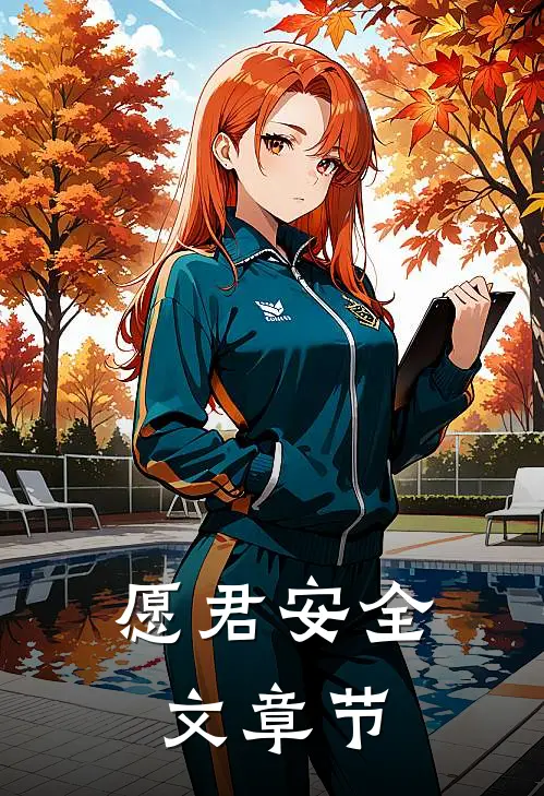 愿君安全文章节