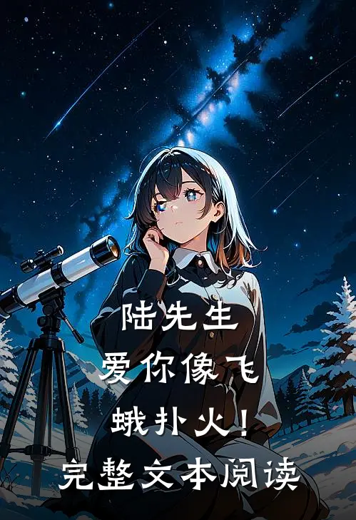 陆先生，爱你像飞蛾扑火！完整文本阅读