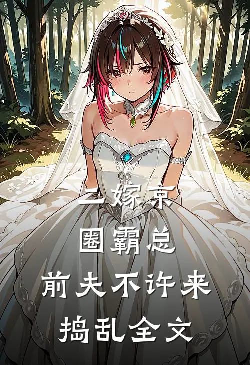 二嫁京圈霸总，前夫不许来捣乱全文
