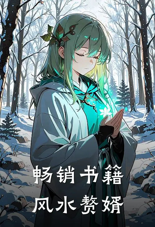 畅销书籍风水赘婿