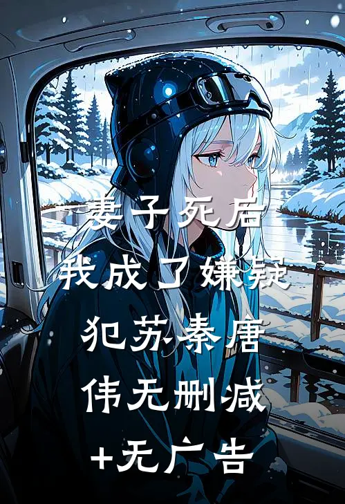 妻子死后，我成了嫌疑犯苏秦唐伟无删减+无广告
