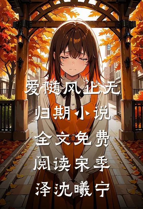 爱随风止无归期小说全文免费阅读宋季泽沈曦宁