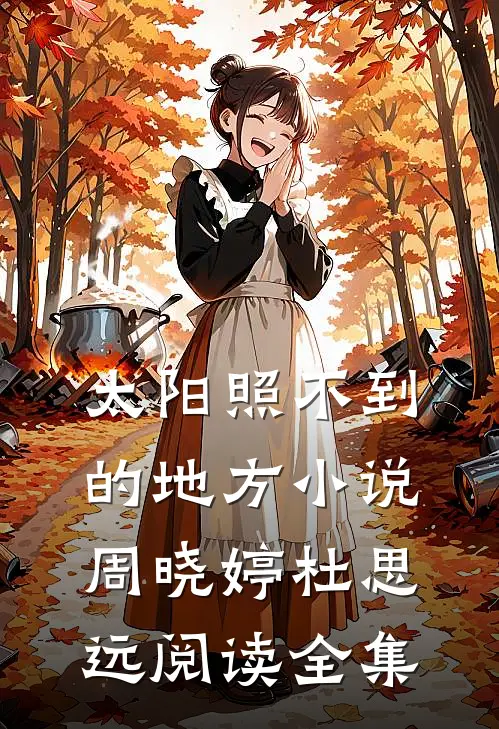 太阳照不到的地方小说周晓婷杜思远阅读全集