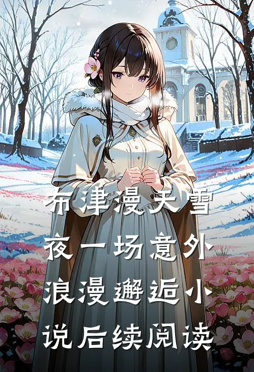 布津漫天雪夜一场意外浪漫邂逅小说后续阅读
