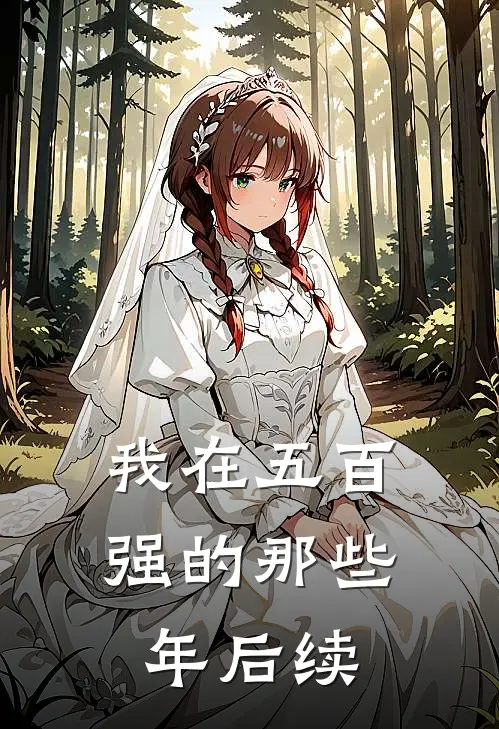 我在五百强的那些年后续