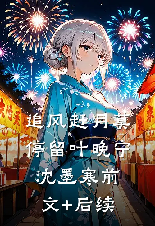 追风赶月莫停留叶晚宁沈墨寒前文+后续