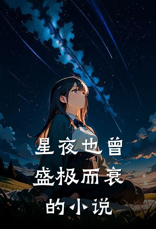 星夜也曾盛极而衰的小说