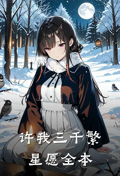 许我三千繁星愿全本