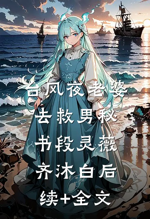 台风夜老婆去救男秘书段灵薇齐沐白后续+全文