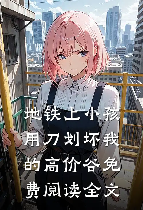 地铁上小孩用刀划坏我的高价谷免费阅读全文