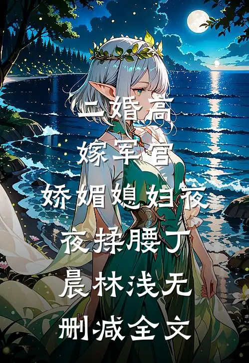 二婚高嫁军官，娇媚媳妇夜夜揉腰丁晨林浅无删减全文