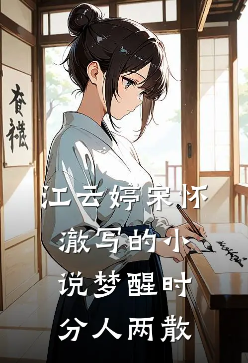 江云婷宋怀澈写的小说梦醒时分人两散