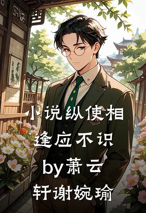 小说纵使相逢应不识by萧云轩谢婉瑜