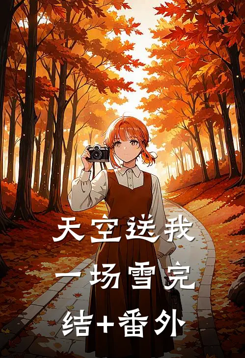 天空送我一场雪完结+番外