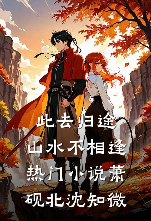 此去归途，山水不相逢热门小说萧砚北沈知微