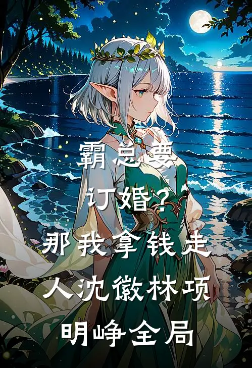 霸总要订婚？那我拿钱走人沈徽林项明峥全局