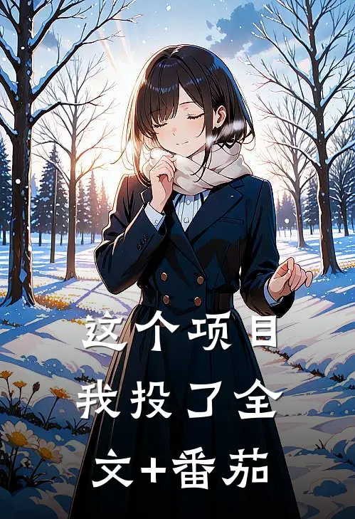 这个项目我投了全文+番茄