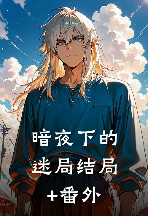 暗夜下的迷局结局+番外