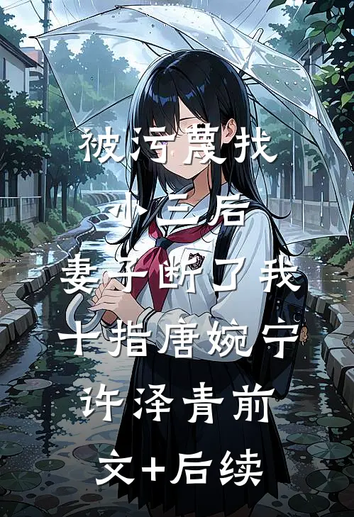 被污蔑找小三后，妻子断了我十指唐婉宁许泽青前文+后续
