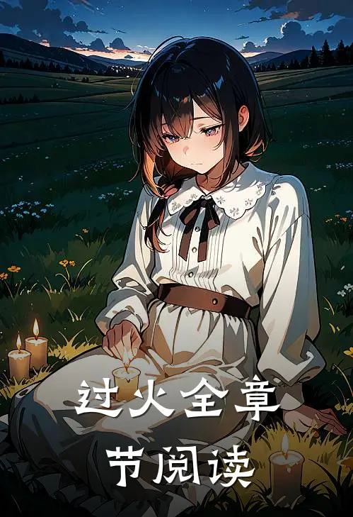 过火全章节阅读