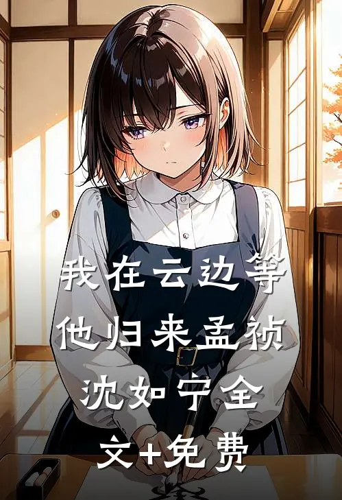 我在云边等他归来孟祯沈如宁全文+免费